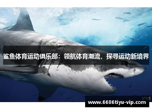 鲨鱼体育运动俱乐部：领航体育潮流，探寻运动新境界