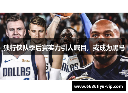 独行侠队季后赛实力引人瞩目，或成为黑马